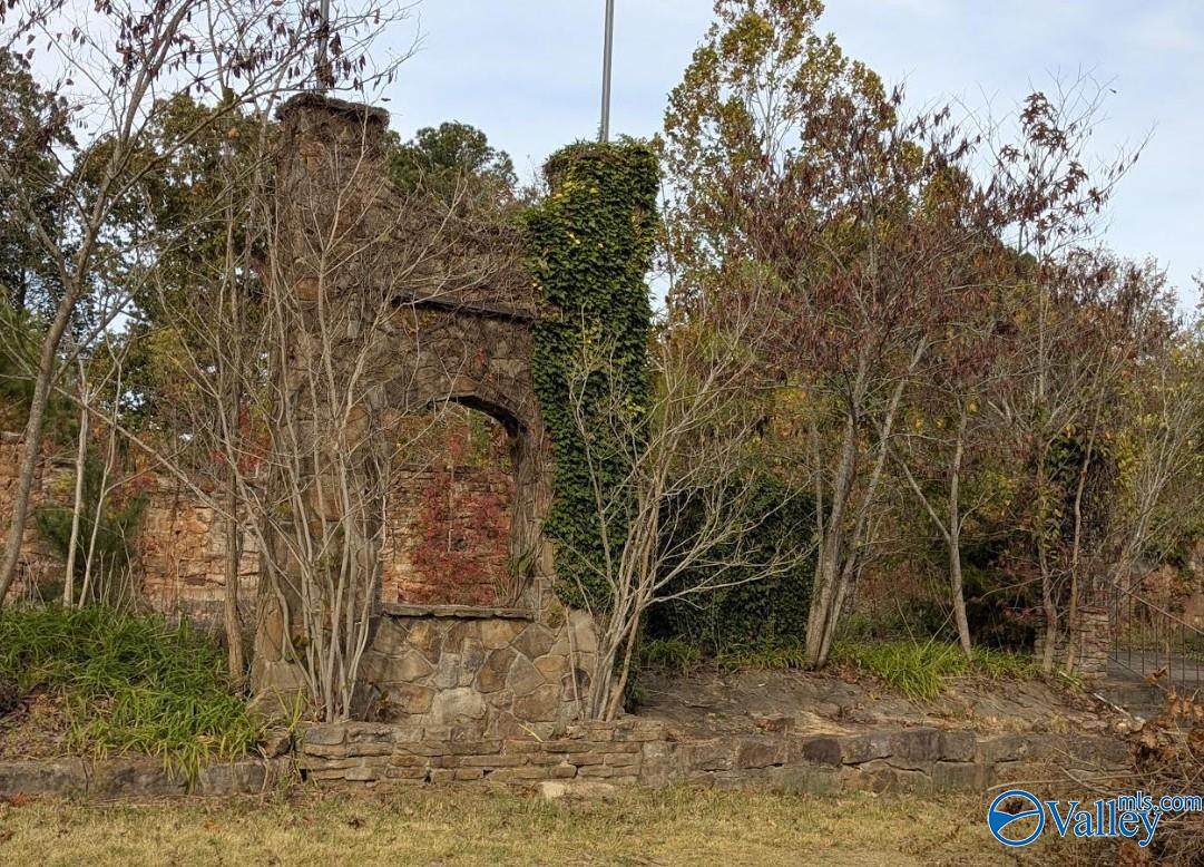 6114 Alabama Highway 117 - Photo 1
