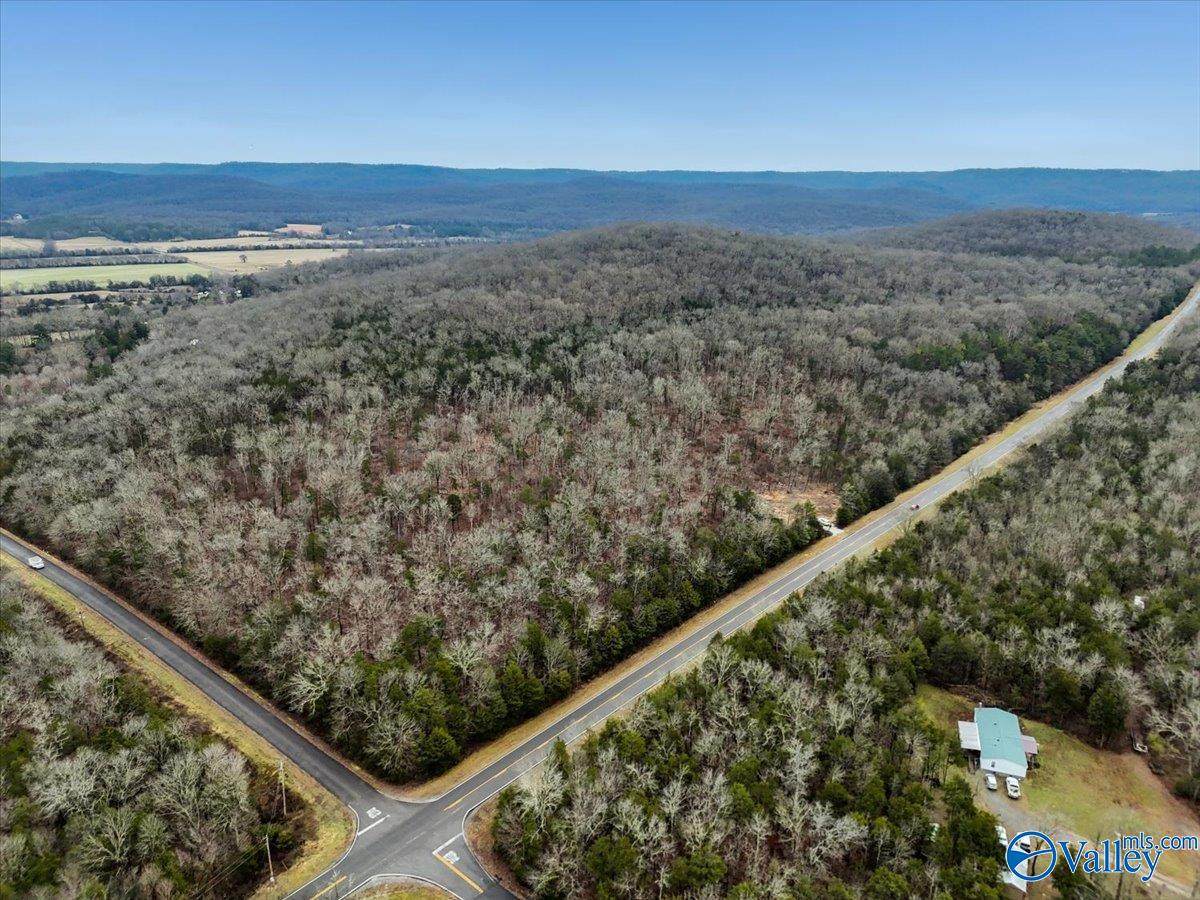 2.32 acres-Lot6 Kennamer Cove Circle - Photo 1