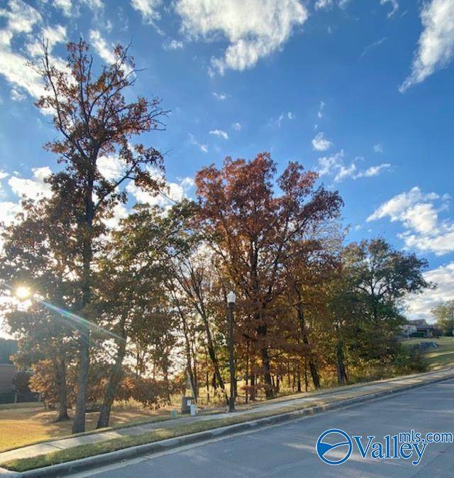 https://bt-photos.global.ssl.fastly.net/nalmls/orig_boomver_1_21908460-2.jpg