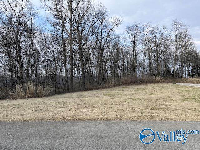 151 Ledge View Drive - Photo 1