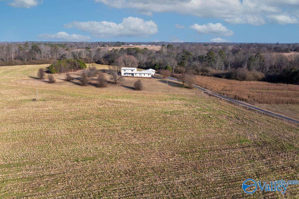 374 County Road 603 - Photo 1