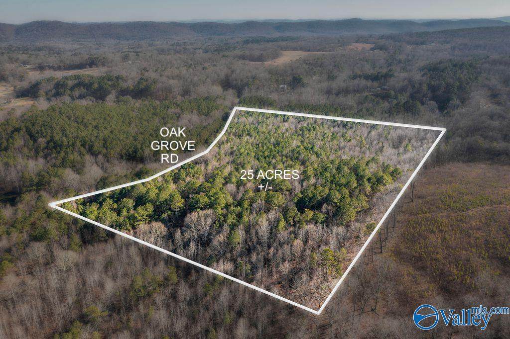 25 Acres +/- Oak Grove Road - Photo 1