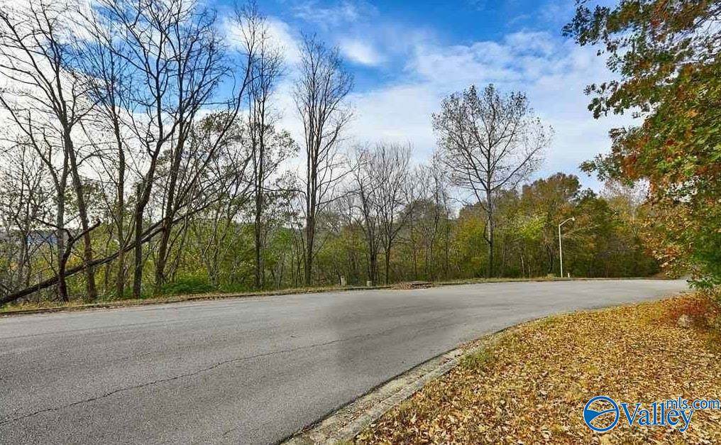 15034 Greentree Trail - Photo 1