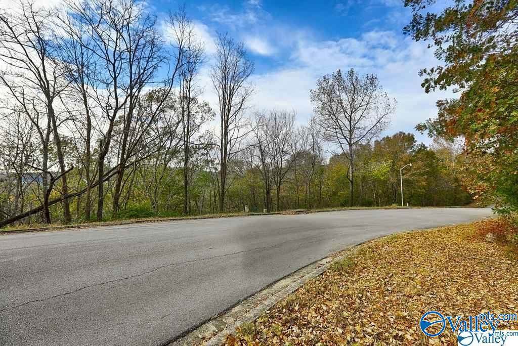 15036 Greentree Trail - Photo 1