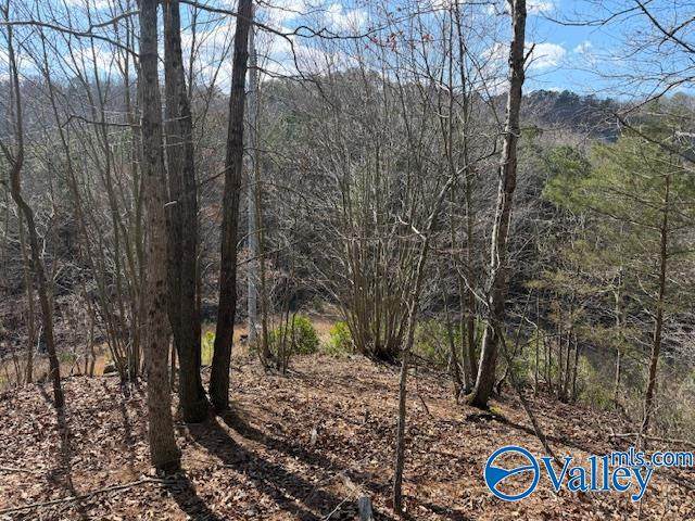#80 Snow Point Road - Photo 1