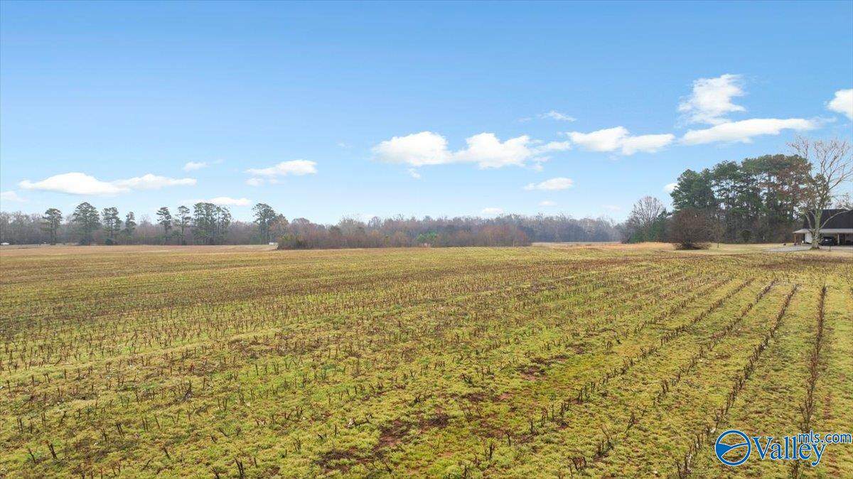 5 Acres Loveless Road - Photo 1