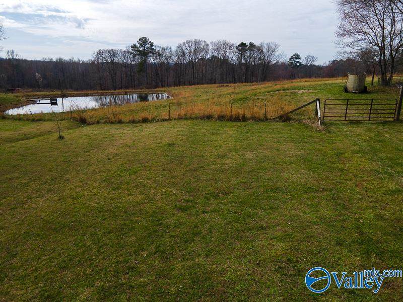 766A Coosa Road - Photo 1