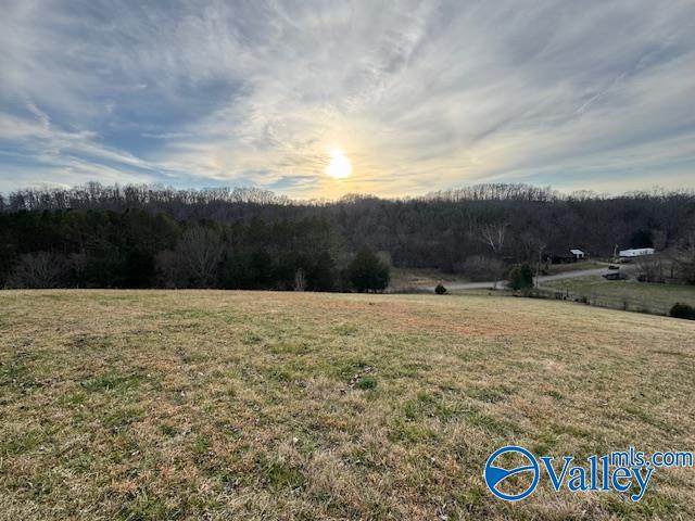 15 Ragsdale Creek Road - Photo 1