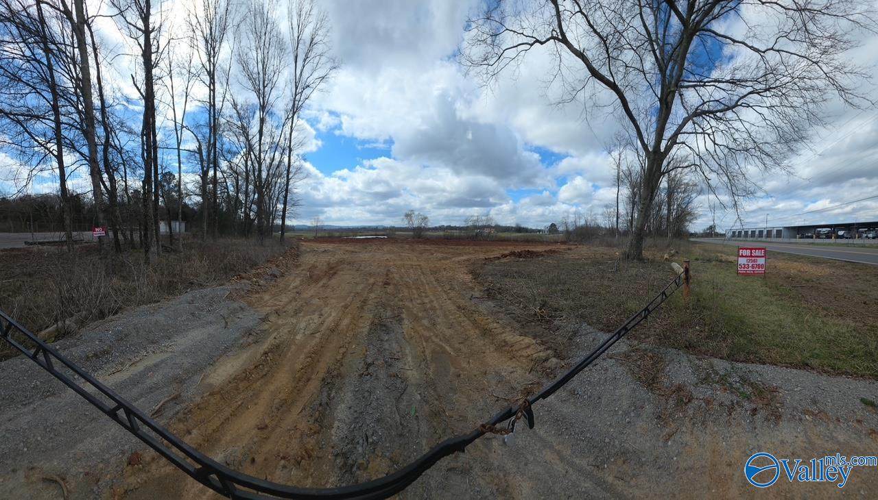 146 Hobbs Island Road - Photo 1