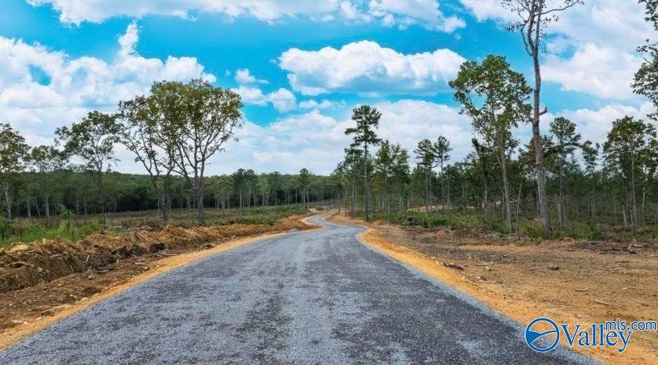 Tract 12 County Road 9114 - Photo 1