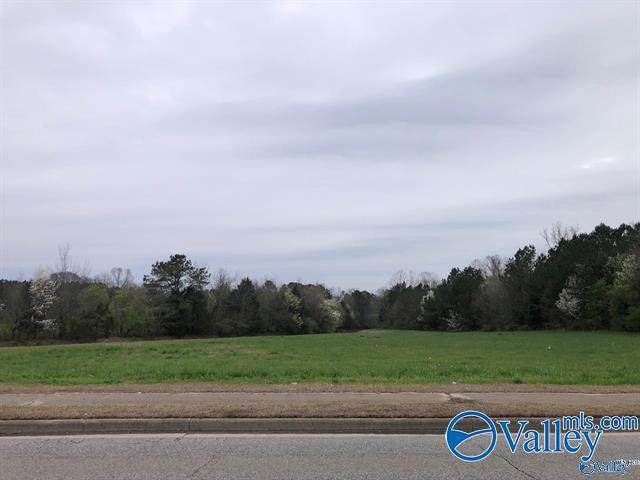 Lot 1 Winchester Road - Photo 1
