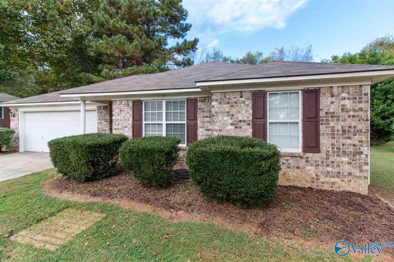 123 Ann Bradley Drive - Photo 1