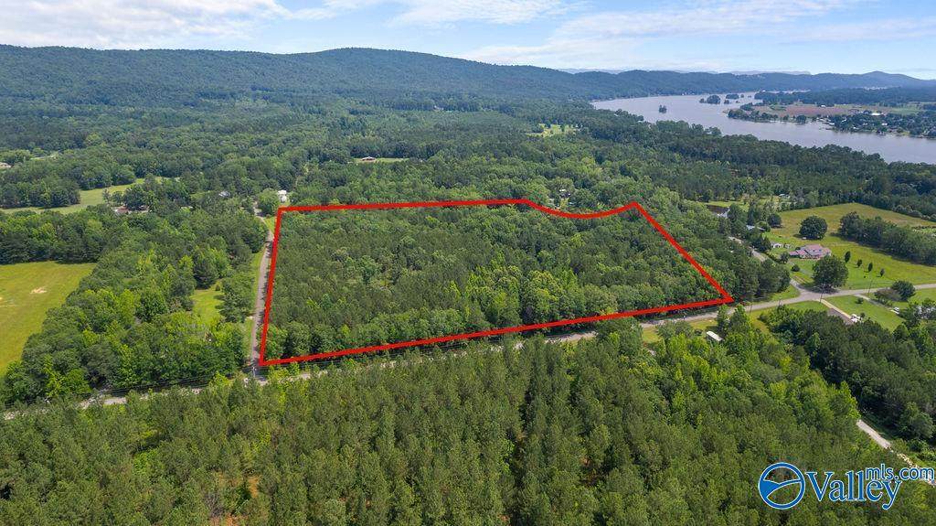 12.2 Riddles Bend Road - Photo 1