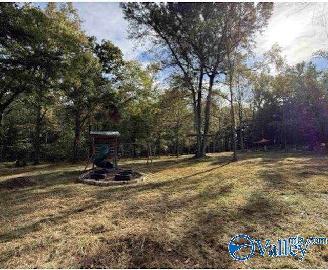 169 Brooks Church Road - Photo 1