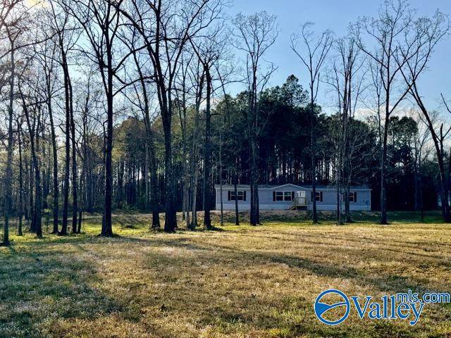 301 Farris Road - Photo 1