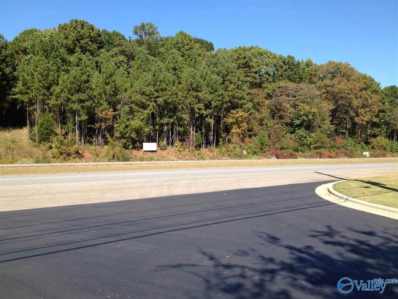 0 Madison Blvd - Photo 1