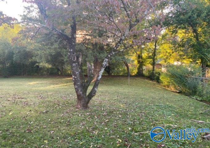 https://bt-photos.global.ssl.fastly.net/nalmls/orig_boomver_1_21917823-2.jpg