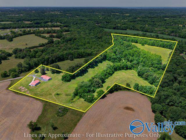 37 Old Mclemore Road - Photo 1