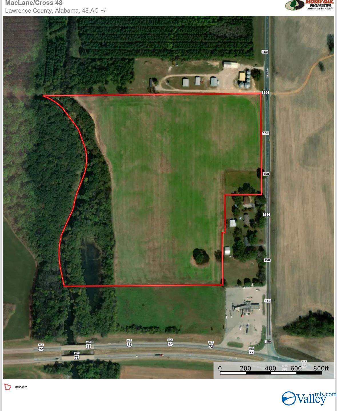 150 County Road 150 - Photo 1