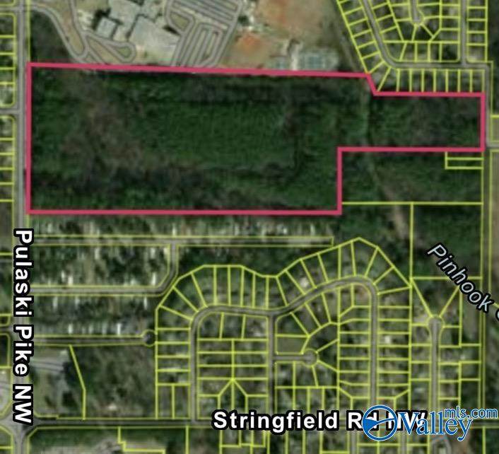 39 acres Lealand Drive - Photo 1