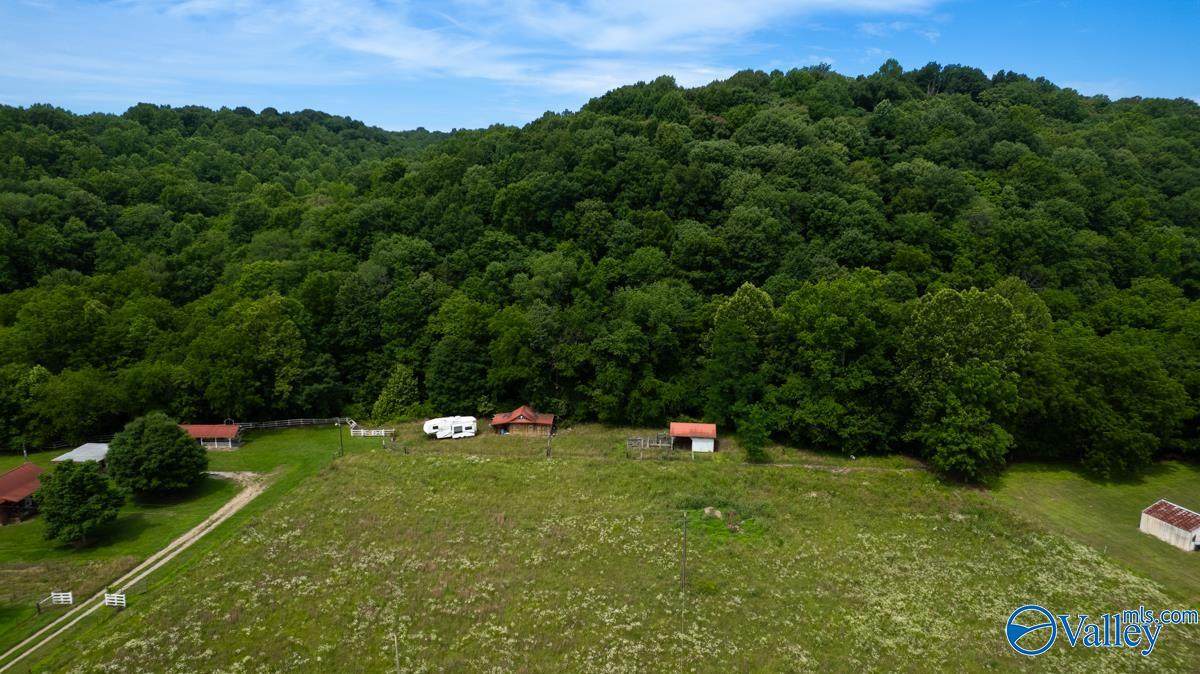 15A Ragsdale Creek Road - Photo 1