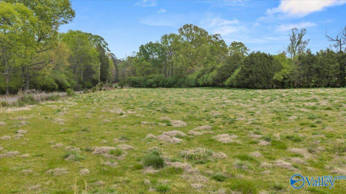 Lot D County Road 113 - Photo 1