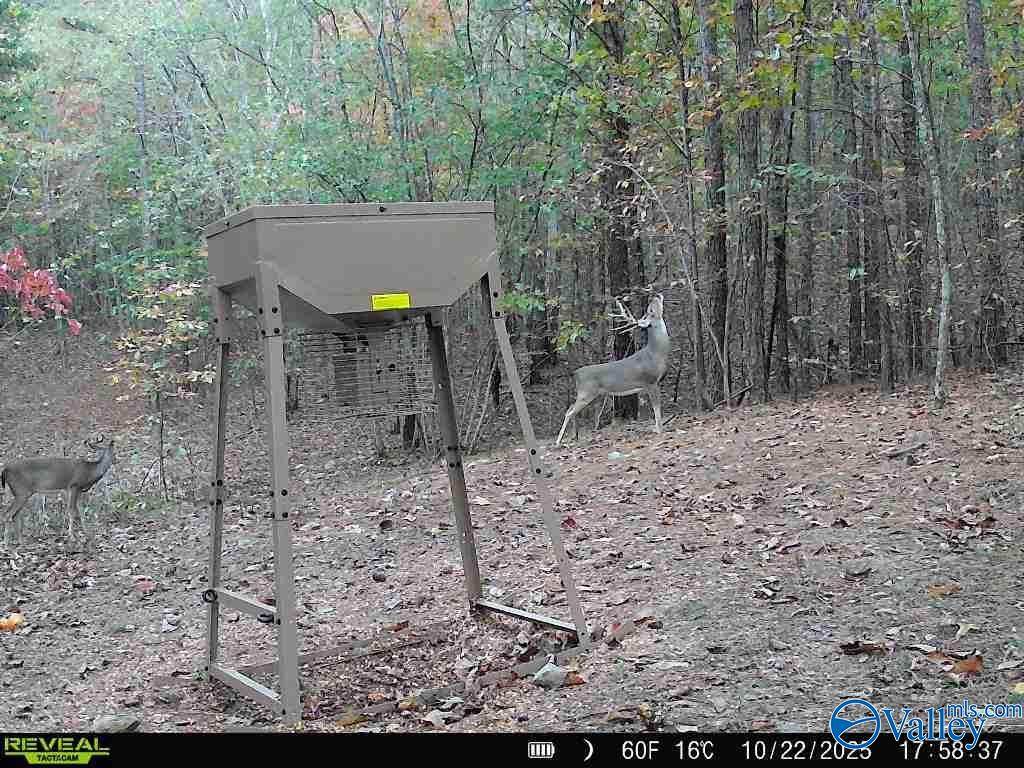 100 ac Highway 11 - Photo 1
