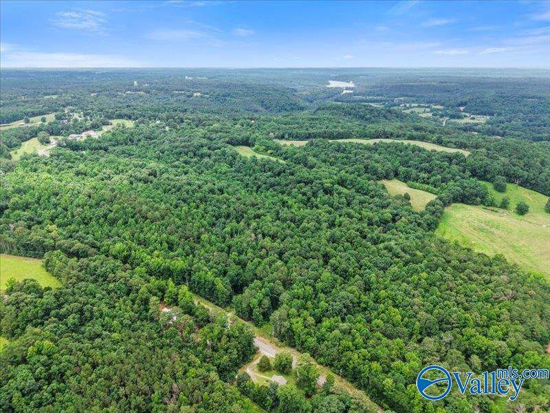 37 Acres County Road 940 - Photo 1