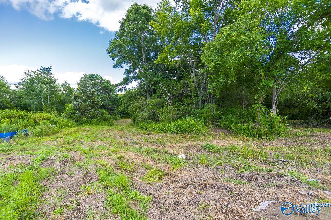 1641 Scott Road - Photo 1