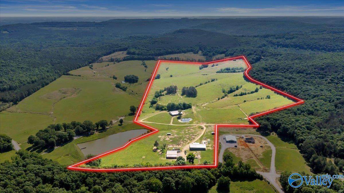 89 acres White Pike - Photo 1