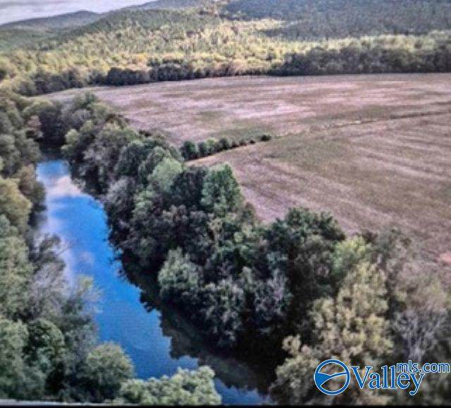 Lot 27 County Road 336 - Photo 1