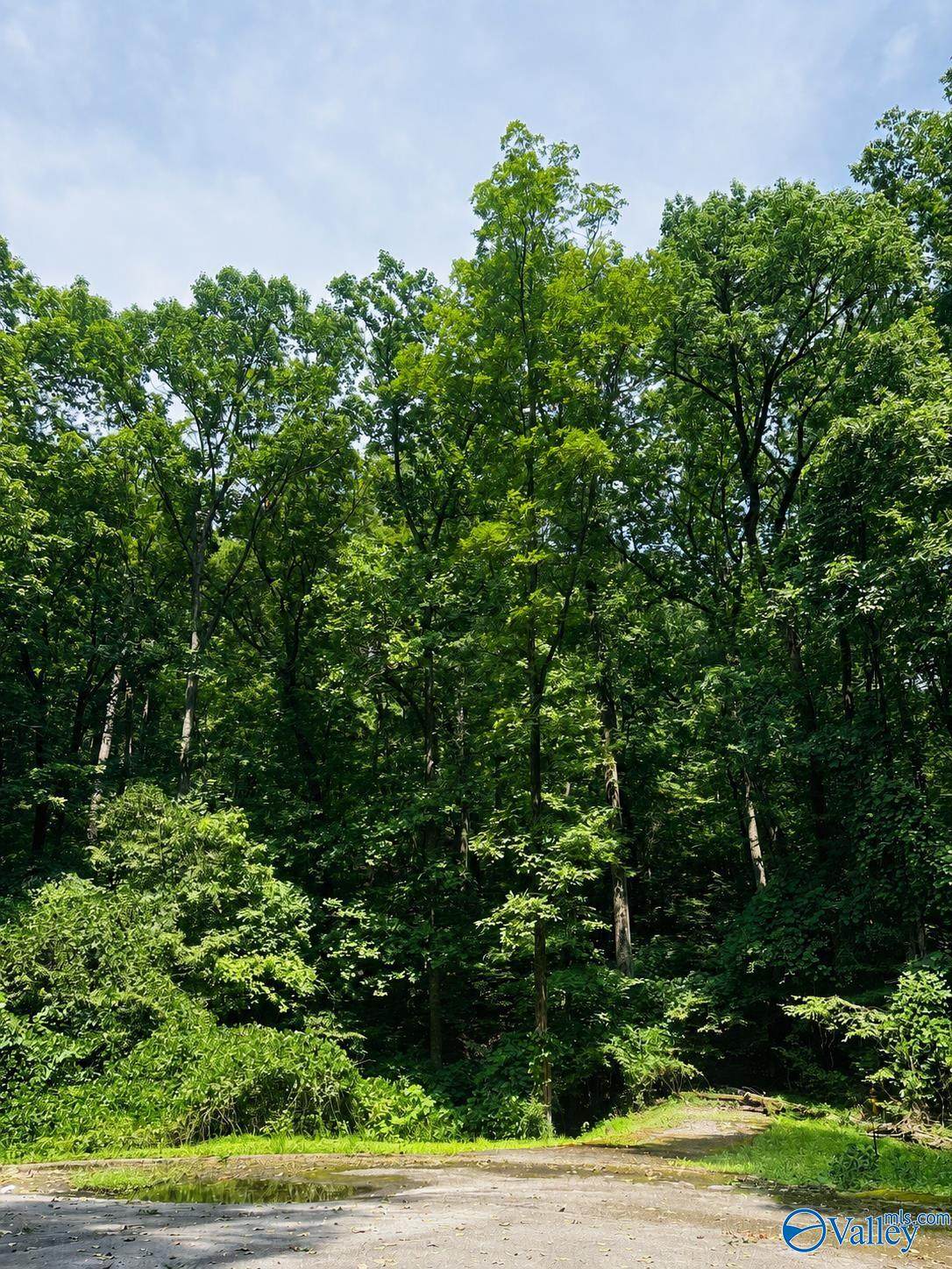 400 Northwoods Trail - Photo 1