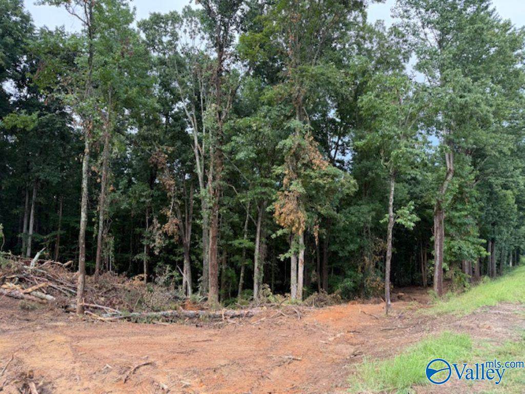 2756 Wilhite Road - Photo 1