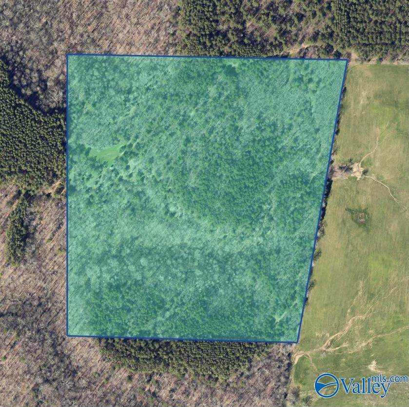 36 Acres County Road 560 - Photo 1