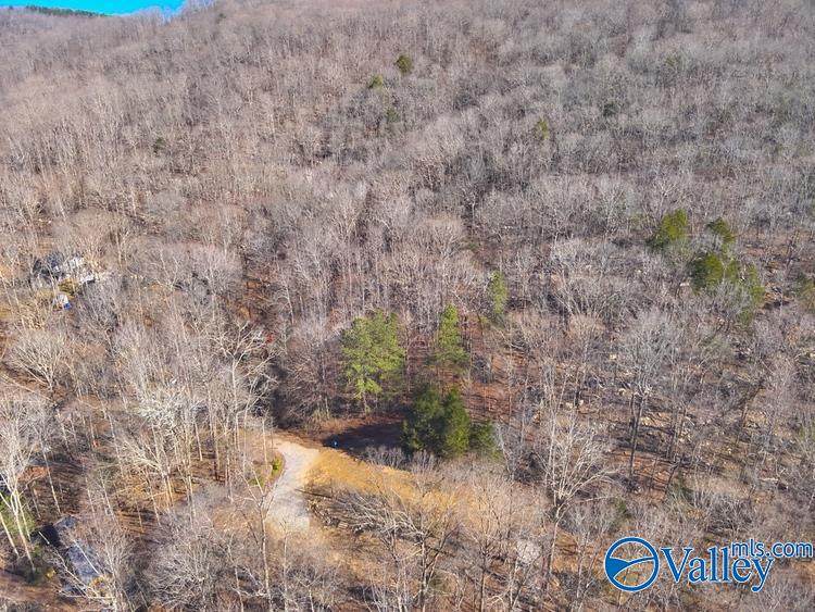 45 +/- Acres Shooting Star Trail - Photo 1