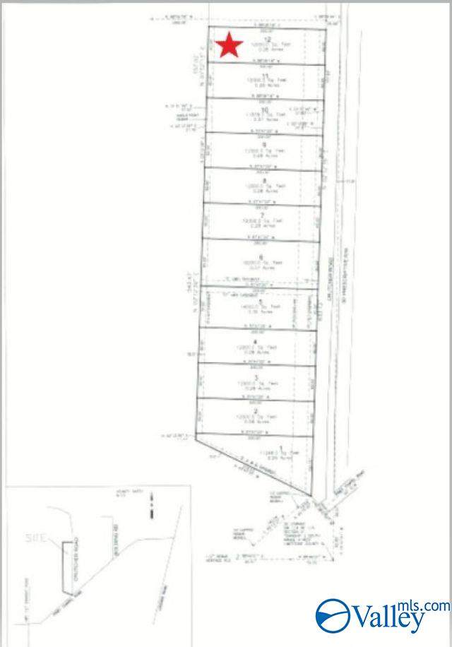 20803 Crutcher Road - Photo 1
