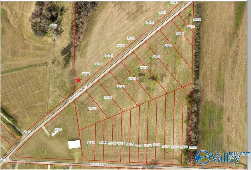20685 Piney Chapel Road - Photo 1