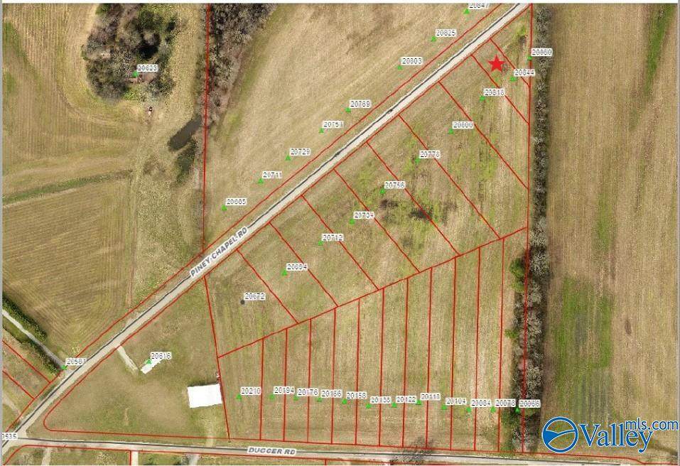 20844 Piney Chapel Road - Photo 1