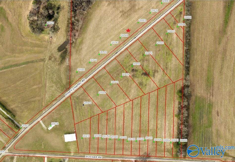 20885 Piney Chapel Road - Photo 1