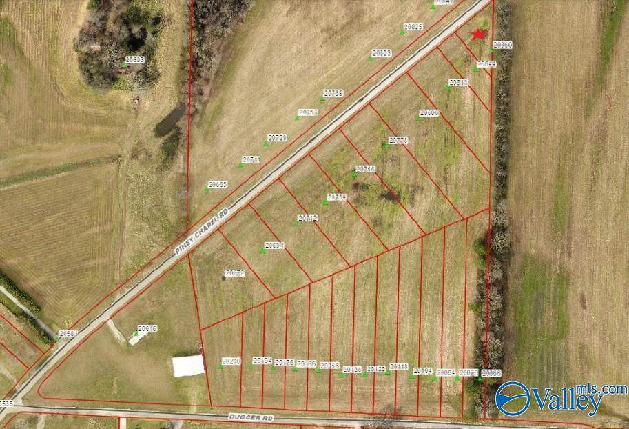 20860 Piney Chapel Road - Photo 1
