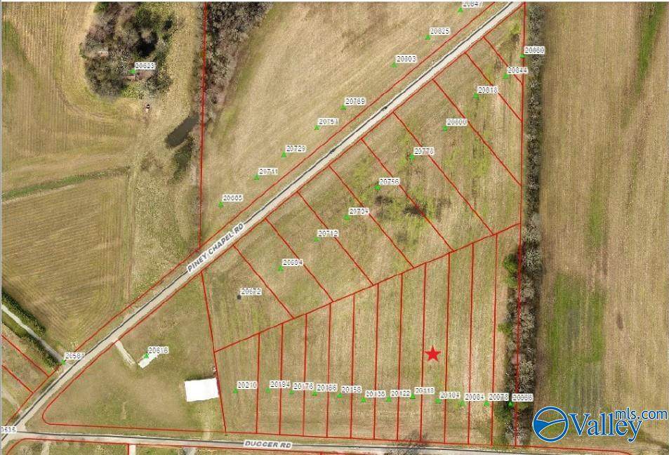 20104 Dugger Road - Photo 1