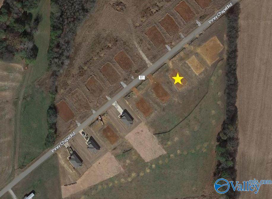 20800 Piney Chapel Road - Photo 1
