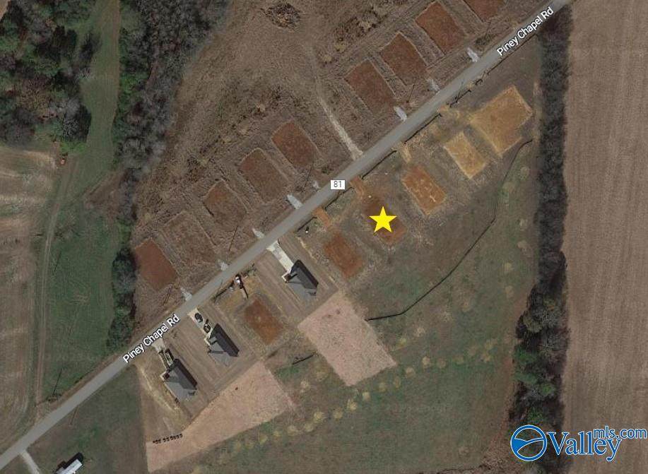 20778 Piney Chapel Road - Photo 1