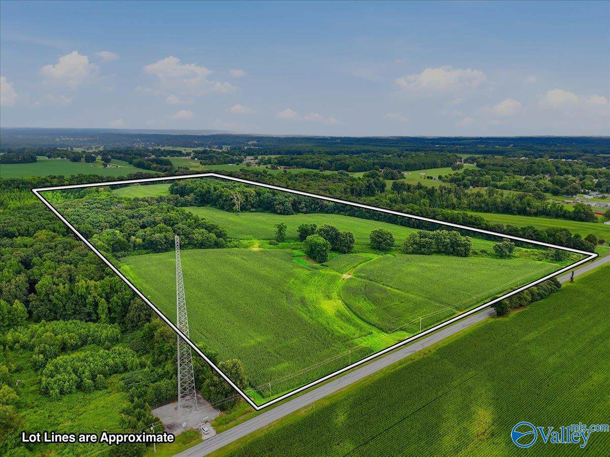 80 New Cut Road - Photo 1