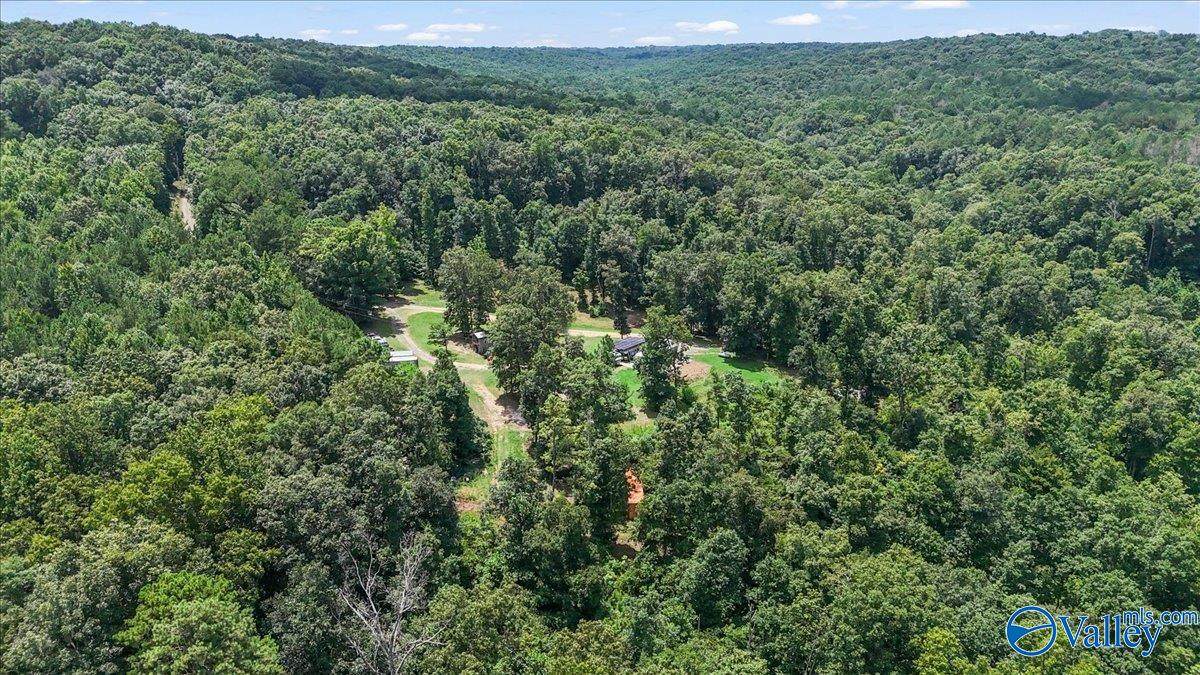 456 Keller Hollow Road - Photo 1