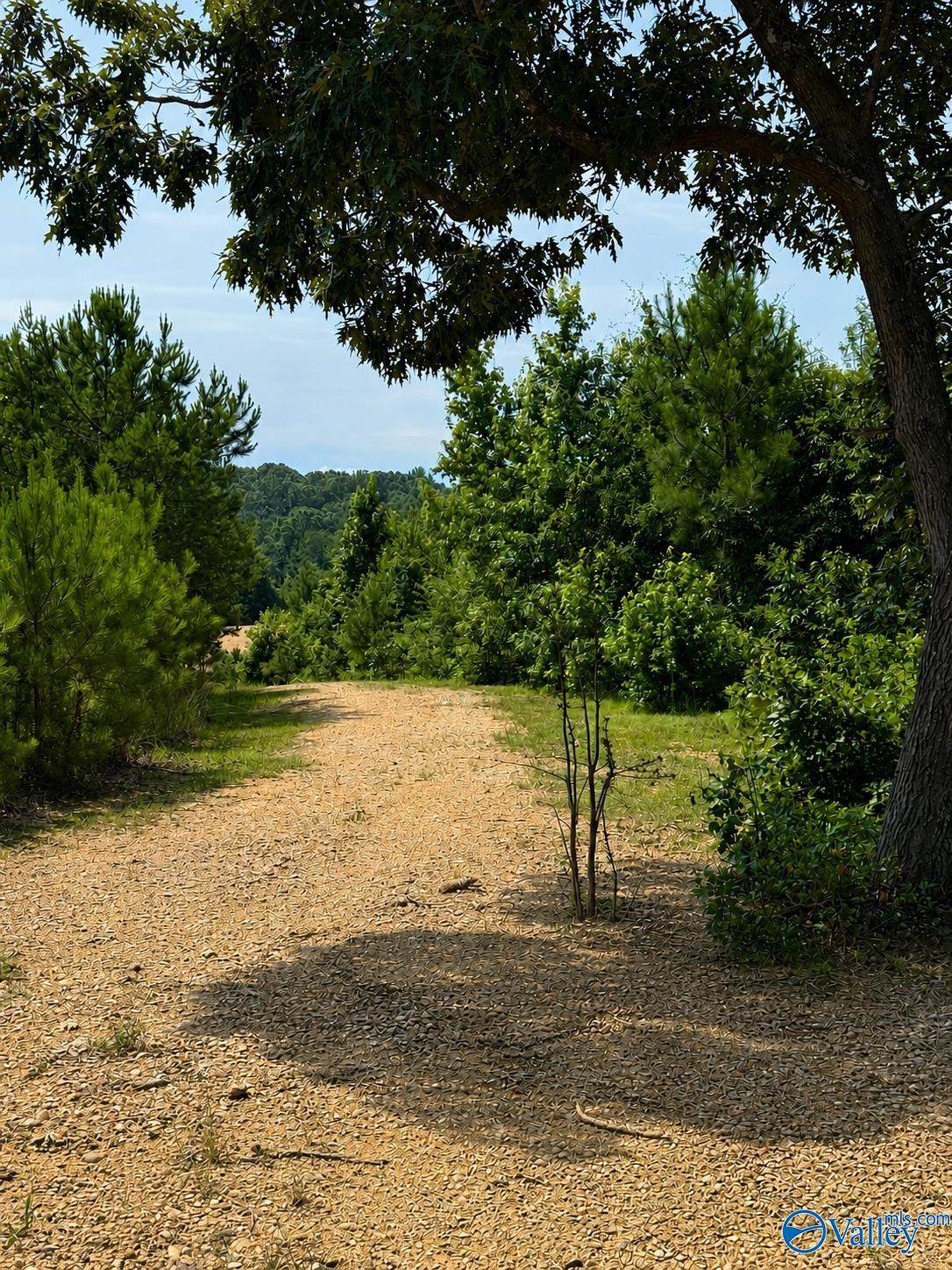 1755 County Road 155 - Photo 1