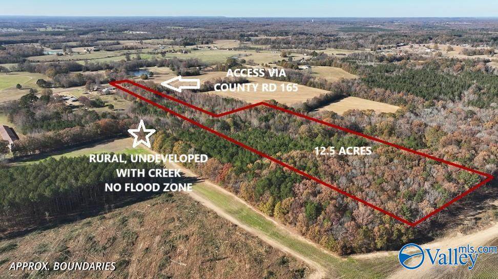 2670 County Road 165 - Photo 1