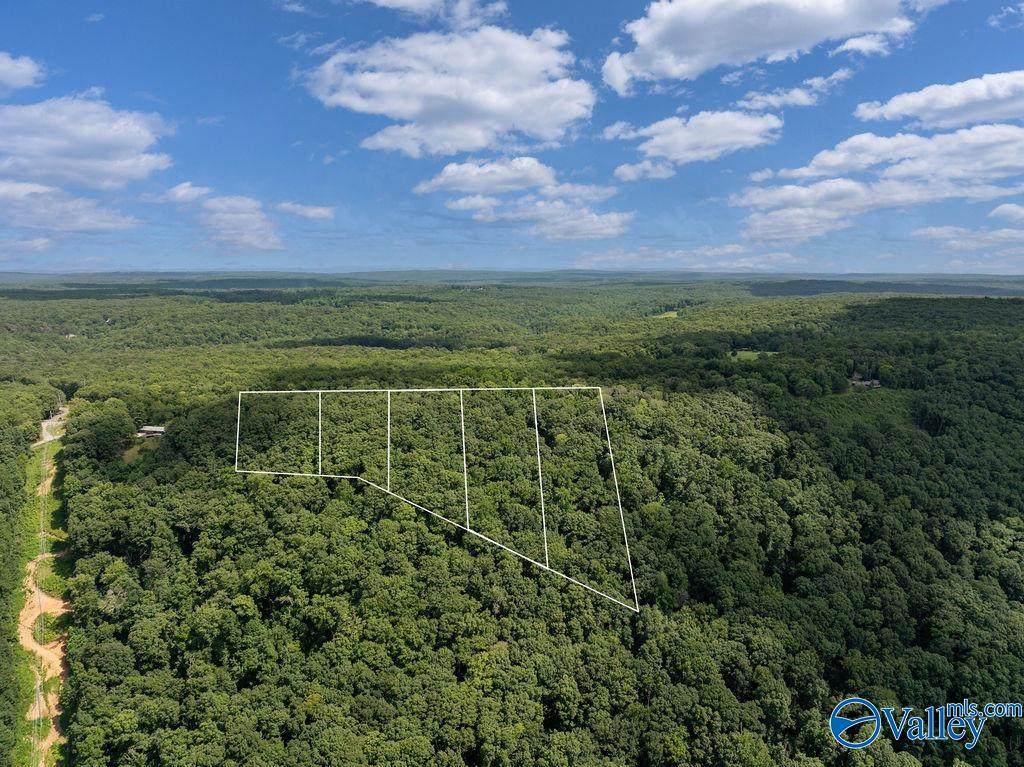 LOT 2 County Road 89 - Photo 1