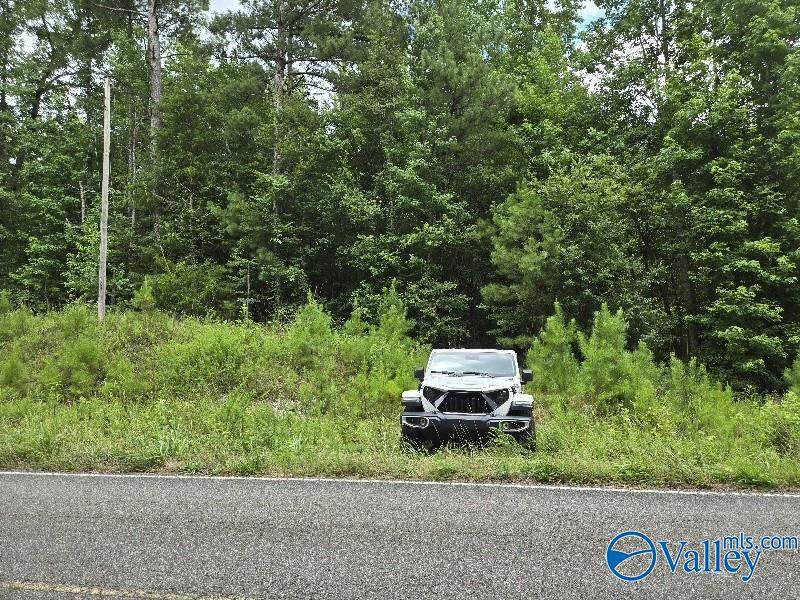 36 Acres Clairmont Springs Road - Photo 1