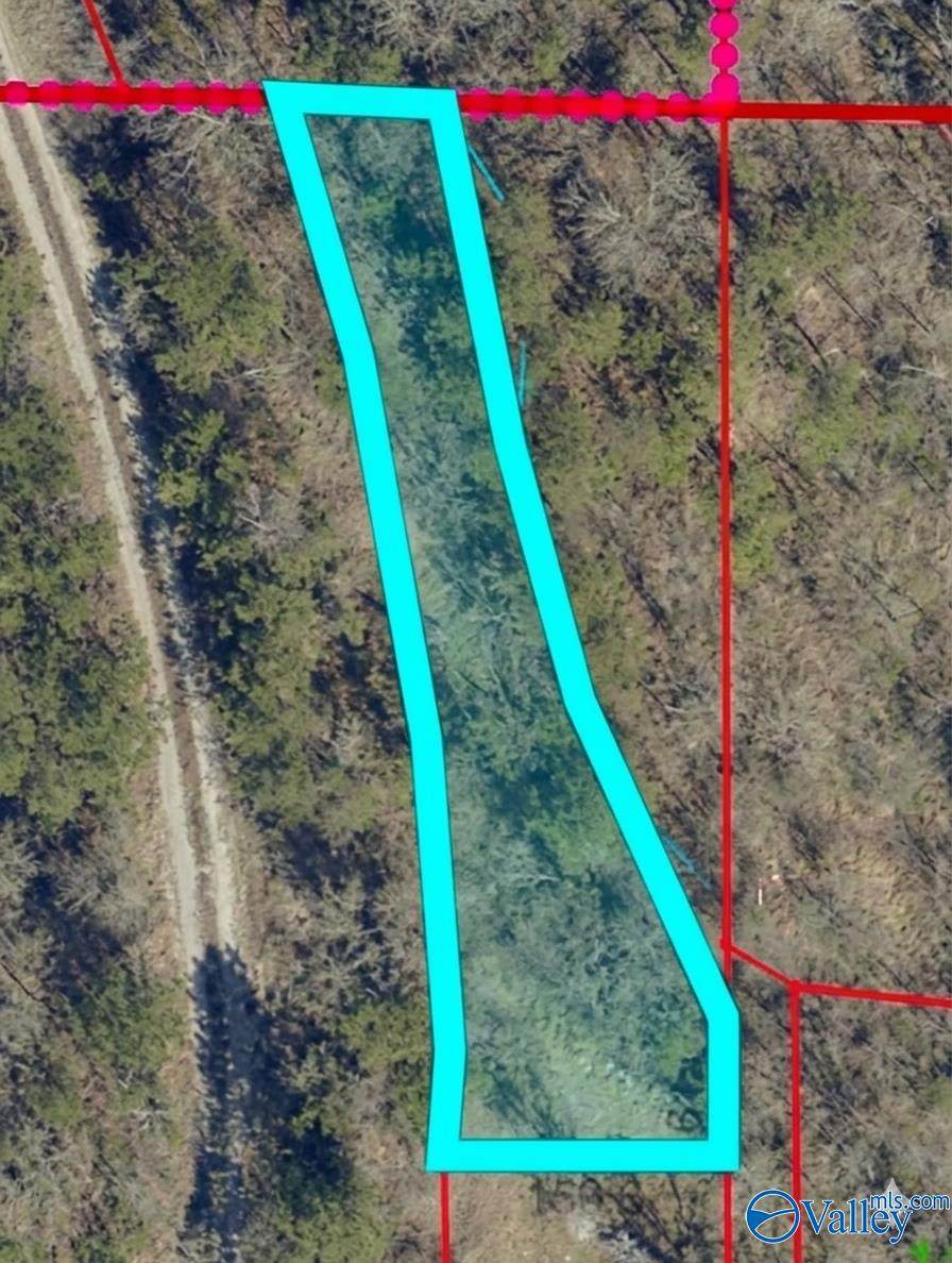 1.2 acres 6th Street - Photo 1